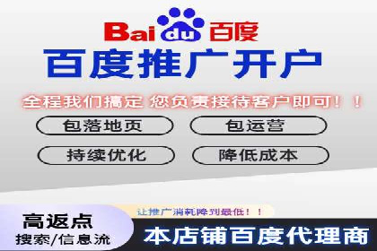 推广竞价策略优化：借鉴经典案例提升效果